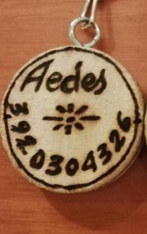 Gruppo Aedes Alghero, Residenza Michelangelo - 500 Mt Dalla Spiaggia Extérieur photo
